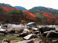 제 7경 중선암