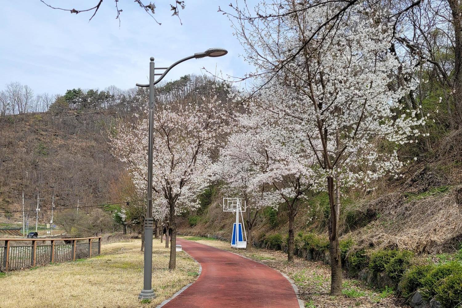가로수길